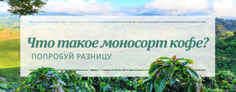 Что такое моносорт кофе (Single Origin Coffee)?