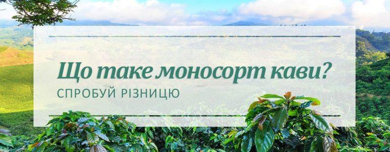Що таке Моносорт кави (Single Origin Coffee)?
